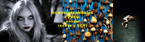 метадон Заволжск